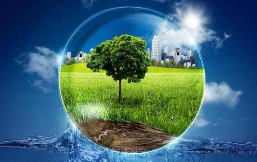 17 квітня – День довкілля